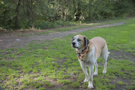 20250911_Dog park__DSC0190_.jpg
