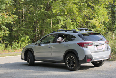 20250911_Dog park__DSC0198_.jpg