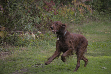 20250913_Dog Park__DSC0012_.jpg