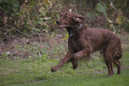 20250913_Dog Park__DSC0013_.jpg