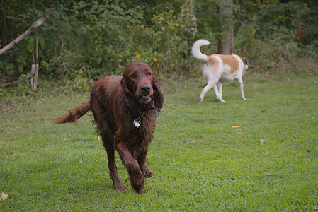 20250913_Dog Park__DSC0022_.jpg
