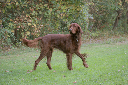 20250913_Dog Park__DSC0028_.jpg