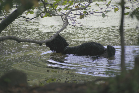 20250913_Dog Park__DSC0044_.jpg
