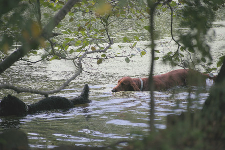 20250913_Dog Park__DSC0045_.jpg