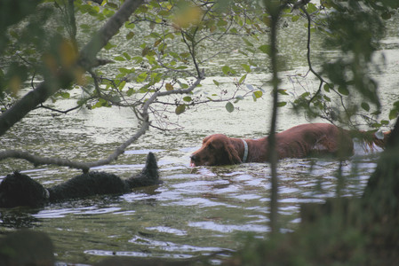 20250913_Dog Park__DSC0046_.jpg
