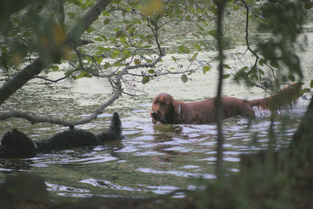 20250913_Dog Park__DSC0047_.jpg