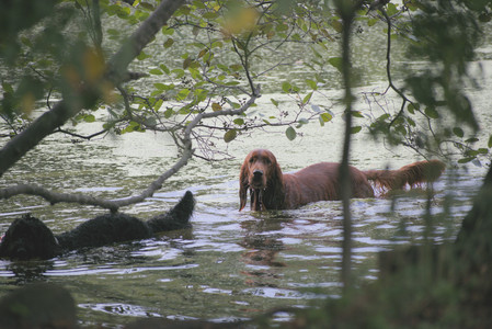 20250913_Dog Park__DSC0048_.jpg