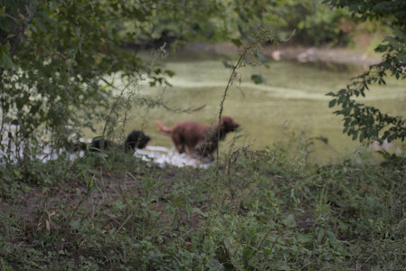 20250913_Dog Park__DSC0051_.jpg