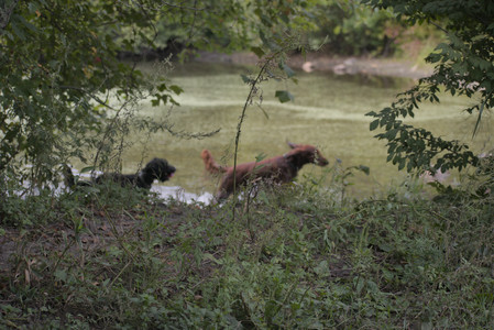 20250913_Dog Park__DSC0052_.jpg