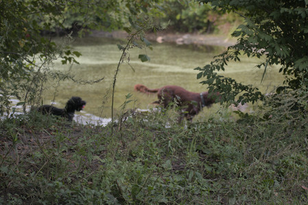 20250913_Dog Park__DSC0053_.jpg