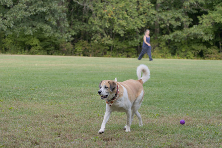 20250913_Dog Park__DSC0055_.jpg