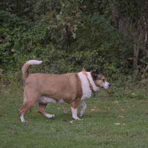 20250913_Dog Park__DSC0086_.jpg