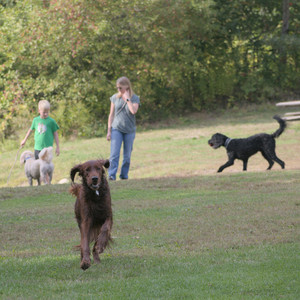 20250913_Dog Park__DSC0187_.jpg