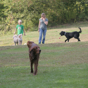 20250913_Dog Park__DSC0188_.jpg