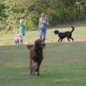 20250913_Dog Park__DSC0189_.jpg