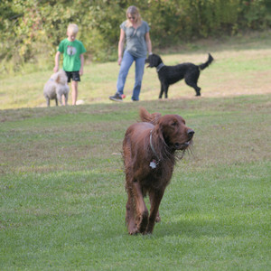 20250913_Dog Park__DSC0190_.jpg