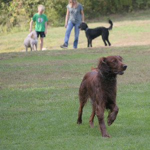 20250913_Dog Park__DSC0191_.jpg