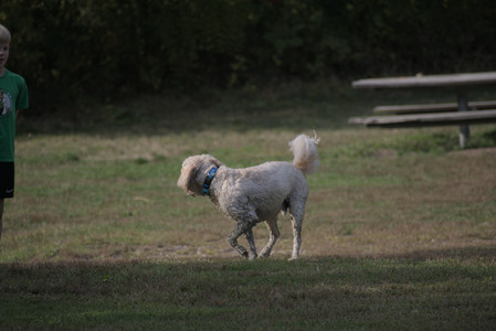 20250913_Dog Park__DSC0192_.jpg