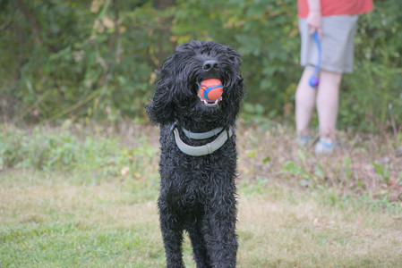 20250913_Dog Park__DSC0203_.jpg