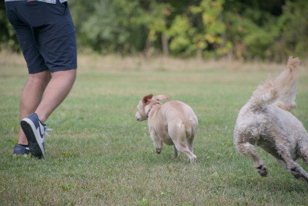 20250913_Dog Park__DSC0229_.jpg
