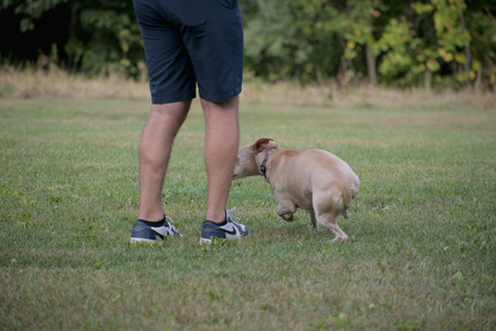 20250913_Dog Park__DSC0230_.jpg