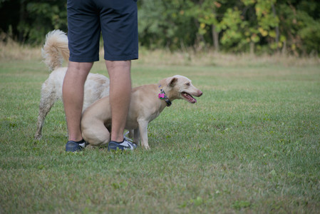 20250913_Dog Park__DSC0234_.jpg