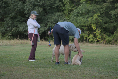 20250913_Dog Park__DSC0237_.jpg