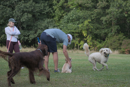 20250913_Dog Park__DSC0240_.jpg