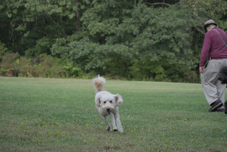 20250913_Dog Park__DSC0241_.jpg