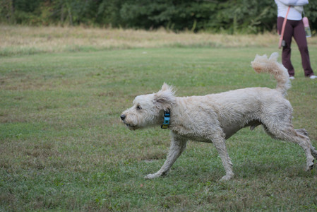 20250913_Dog Park__DSC0244_.jpg
