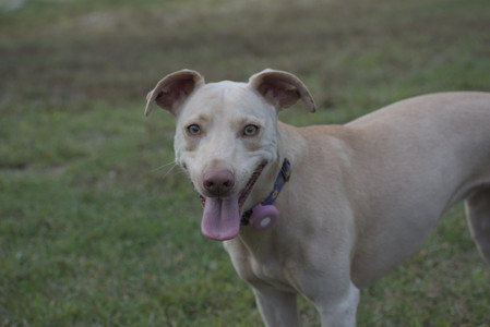 20250913_Dog Park__DSC0261_.jpg