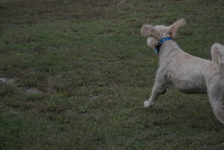 20250913_Dog Park__DSC0283_.jpg