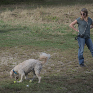 20250913_Dog Park__DSC0286_.jpg