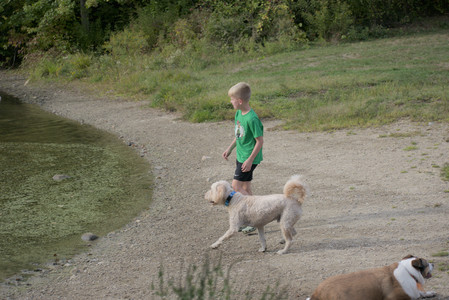 20250913_Dog Park__DSC0294_.jpg