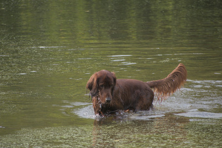 20250913_Dog Park__DSC0296_.jpg