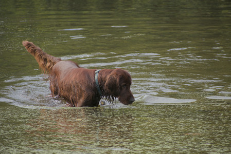 20250913_Dog Park__DSC0297_.jpg