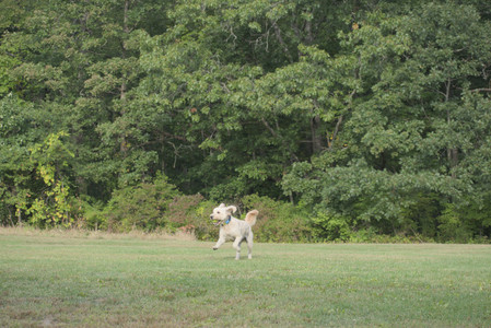 20250913_Dog Park__DSC0302_.jpg
