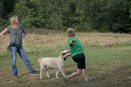 20250913_Dog Park__DSC0316_.jpg