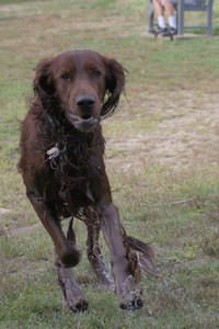 20250913_Dog Park__DSC0320_.jpg
