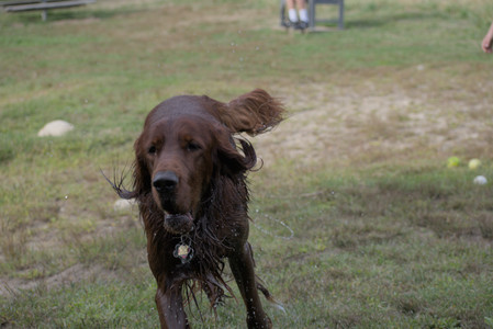 20250913_Dog Park__DSC0321_.jpg