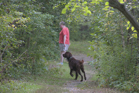 20250913_Dog Park__DSC0324_.jpg