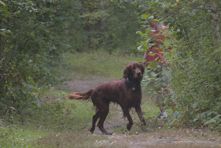 20250913_Dog Park__DSC0326_.jpg