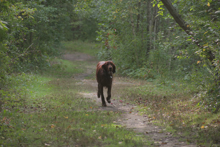 20250913_Dog Park__DSC0333_.jpg