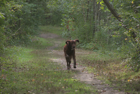 20250913_Dog Park__DSC0334_.jpg