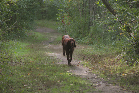 20250913_Dog Park__DSC0335_.jpg