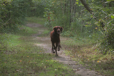 20250913_Dog Park__DSC0336_.jpg
