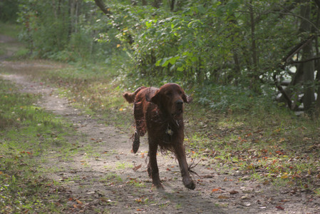 20250913_Dog Park__DSC0342_.jpg