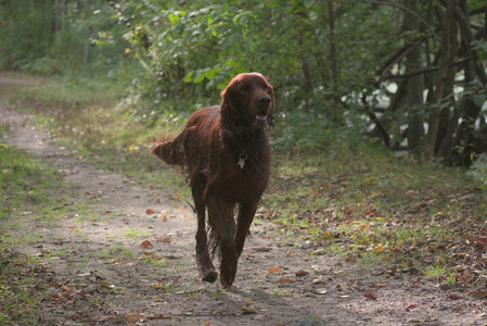 20250913_Dog Park__DSC0343_.jpg