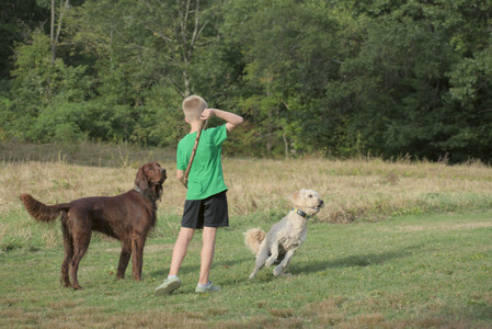 20250913_Dog Park__DSC0350_.jpg