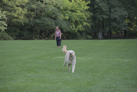20250913_Dog Park__DSC0381_.jpg